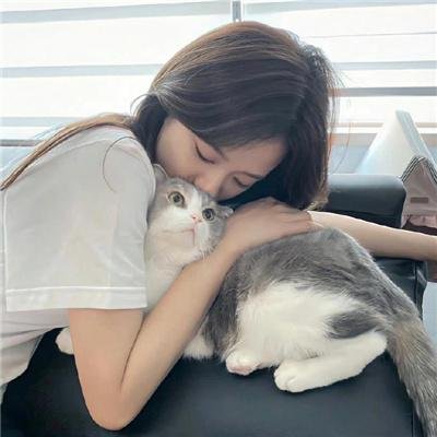 速度与激情8